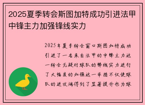 2025夏季转会斯图加特成功引进法甲中锋主力加强锋线实力